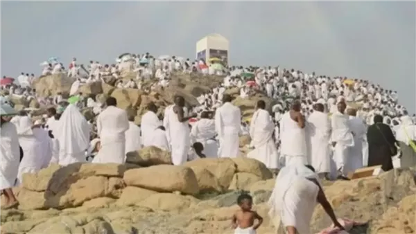 لمحة نيوز