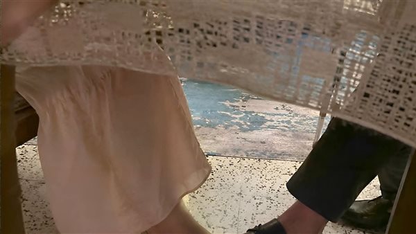 لمحة نيوز