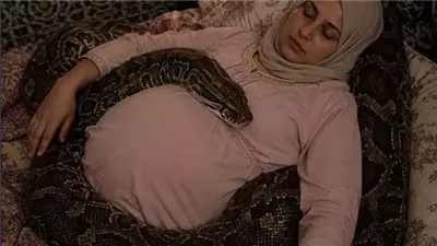امرأة حامل بجوار أفعاها الأليفة الضخمة كل ليلة