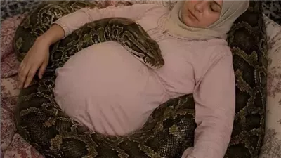 الافعى ميمونه