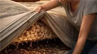 لغز المرتبه لمنى السيد