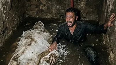 قلب ميت بقلم حماده هيكل