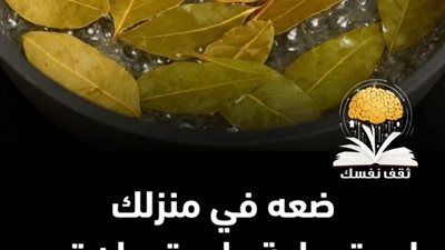 ورق الغار للحشرات : وصفة تجعل الحشرات تهرب من البيت