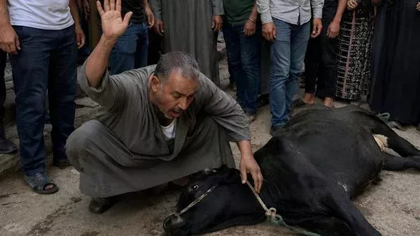 لمحة نيوز