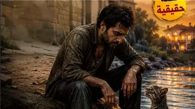 لمحة نيوز