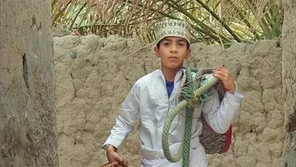 لمحة نيوز