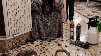 مصيبه في بيتي من حكايات زهرة الربيع