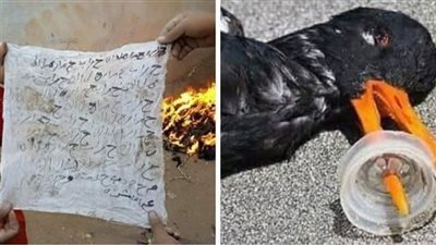 اختي من ساعة ما اتجوزت وهي عايشه في حالة نكد ل حمادة هيكل