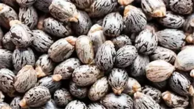 ما هو الحيوان الذي يسقط الحامل ويخطف البصر ويحسد الإنسان معلومة صادمة