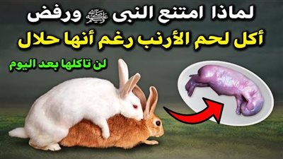 لماذا النبي رفض أكل الارنب؟ وما الذي يحدث للشخص الذي يأكل لحم الارانب