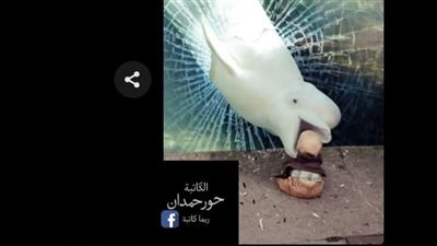 الحمام الرائى حور حمدان