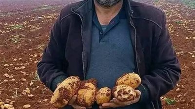 فلاح سوري