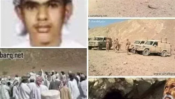 لمحة نيوز