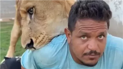 القبض على رجل ليبي اطلق الاسد على العامل المصري