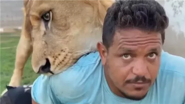 لمحة نيوز