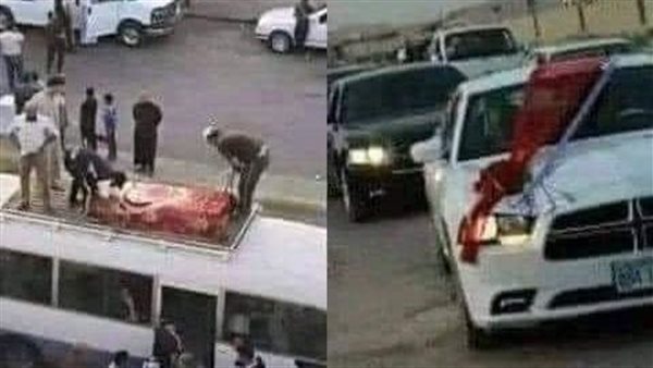 لمحة نيوز
