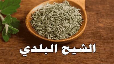  أهم فوائد الشيح ومميزاته العلاجية المختلفة