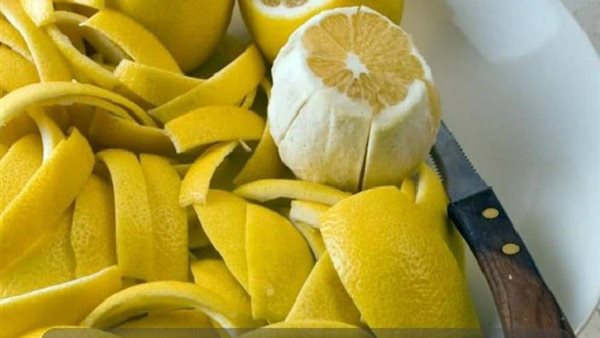 لمحة نيوز