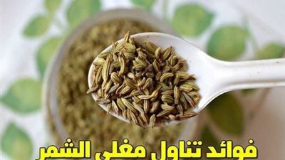 فوائد تناول مغلي الشمر مرتين في الأسبوع