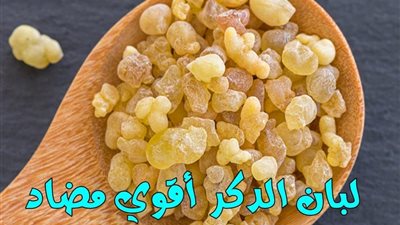 خبيرة تغذية لبان الدكر أقوي مضاد حيوي في منزلك