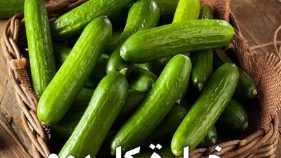لماذا يجب علينا أن نأكل خيارة يوميا 13 سبباً تكفي لإقناعك