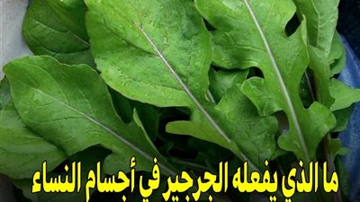 فوائد الجرجير للنساء