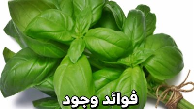 لهذه الاسباب احرص على وجود الريحان في منزلك