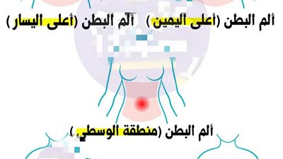  ألم البطن ( أعلى اليمين ) : الكبد، المرارة، الكلى