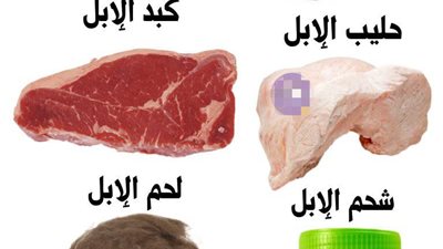 فوائد منتجات الإبل