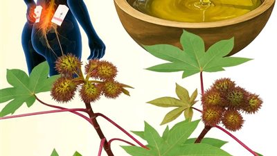  رؤية هذه النبتة تشبه العثور على الذهب في الحديقة: الكنز المنسي والدواء الطبيعي
