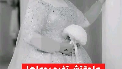  عروس الدقهليه