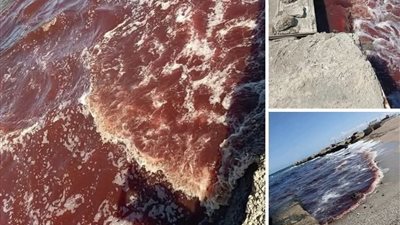 علامات البحر المتوسط بدأت بالظهور والكارثة ستضرب