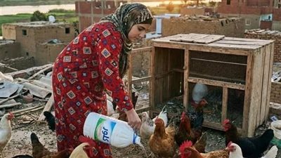 قصتي مع سلفتي
