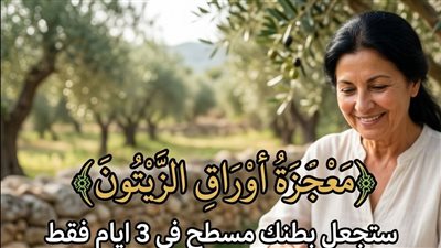 أوراق الزيتون لعلاج الكرش وحـرق الدهون وعلاج الشيب والبشرة
