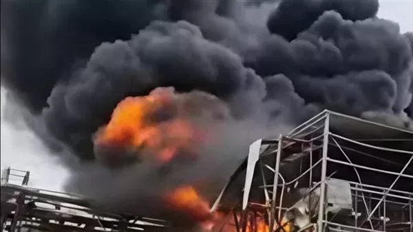 لمحة نيوز